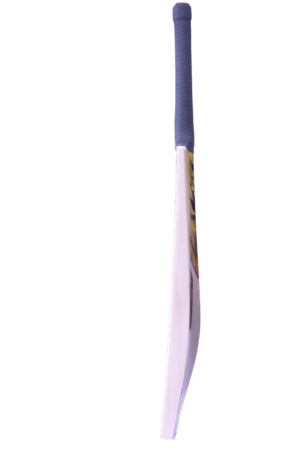 genesis 1.3