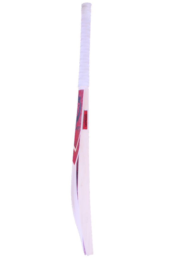 genesis 1.6