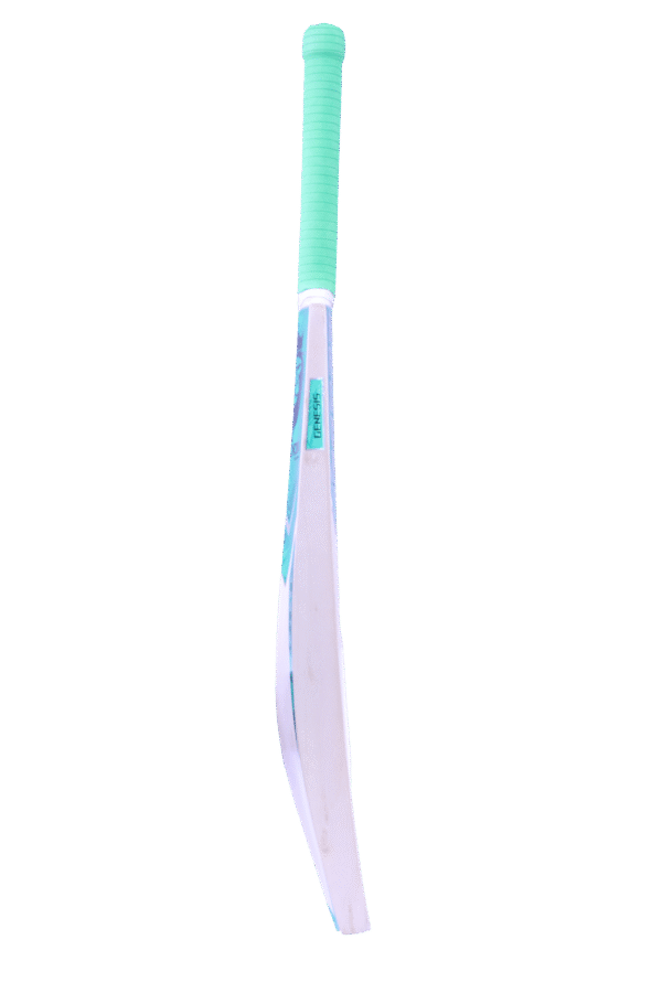 genesis 1.9