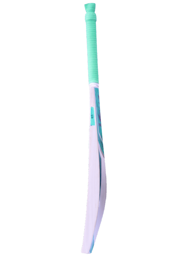 genesis 1.9